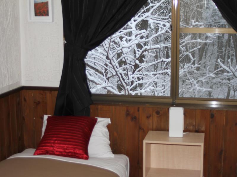 Alpine Lodge Хакуба Екстер'єр фото